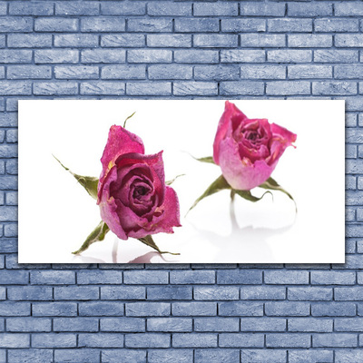 Vászonkép Rózsa virágok Plant