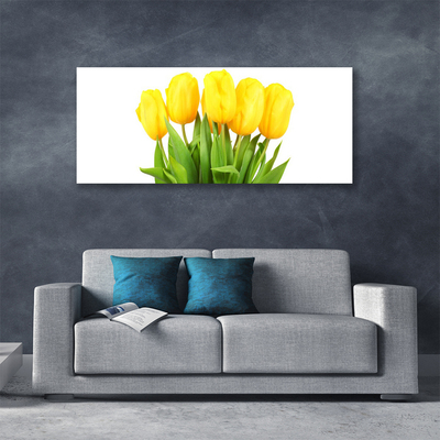 Canvas kép Tulipán virágok Plant