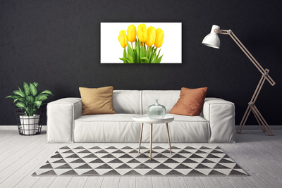 Canvas kép Tulipán virágok Plant