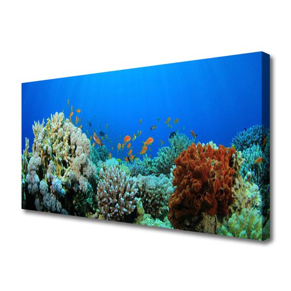 Vászonkép Barrier Reef Nature