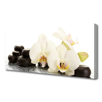 Vászonkép nyomtatás Fehér orchidea virág