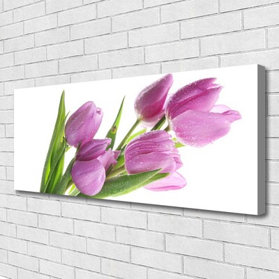 Canvas kép Tulipán virágok Plant