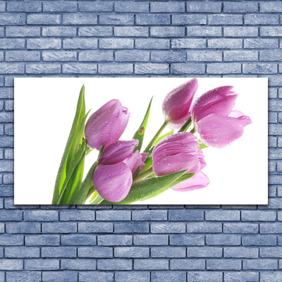 Canvas kép Tulipán virágok Plant