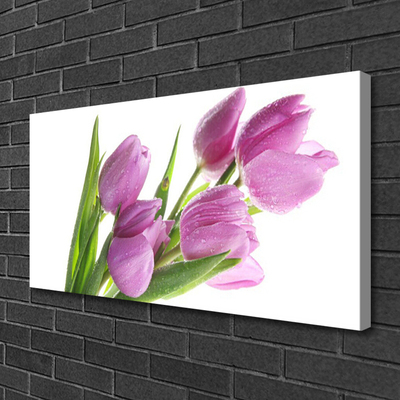 Canvas kép Tulipán virágok Plant