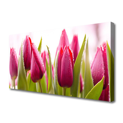 Vászonkép nyomtatás Tulipán virágok Plant