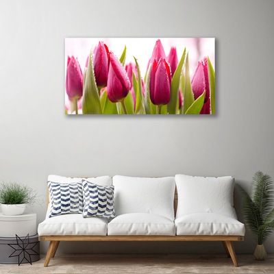 Vászonkép nyomtatás Tulipán virágok Plant