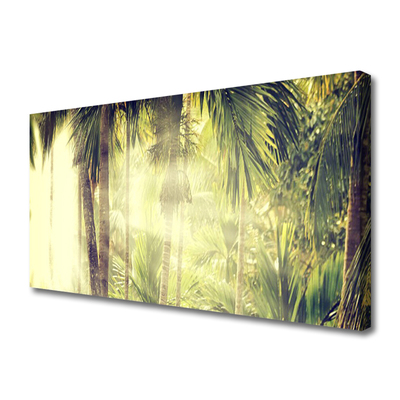Vászonkép falra Palm Tree Forest Nature
