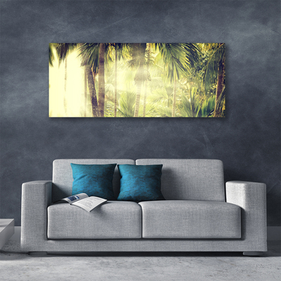 Vászonkép falra Palm Tree Forest Nature