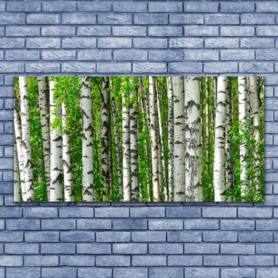 Vászonkép nyomtatás Nature Plant Erdei fák