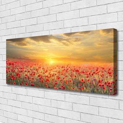 Canvas kép Sun Meadow Poppy Flowers