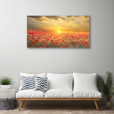 Canvas kép Sun Meadow Poppy Flowers