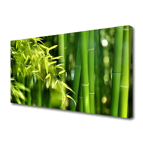 Vászonkép nyomtatás Bambusz levelek Plant