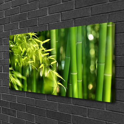 Vászonkép nyomtatás Bambusz levelek Plant