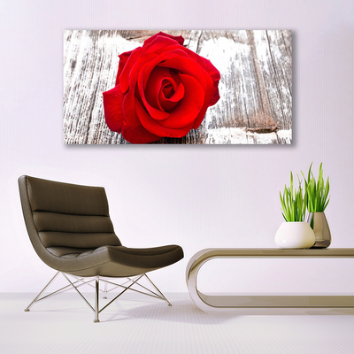 Vászonkép falra Rózsa Virág növény természet