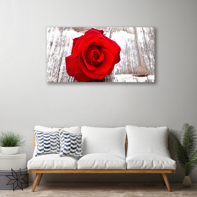 Vászonkép falra Rózsa Virág növény természet