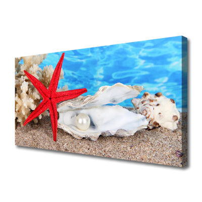 Vászonkép Starfish Shells Természet