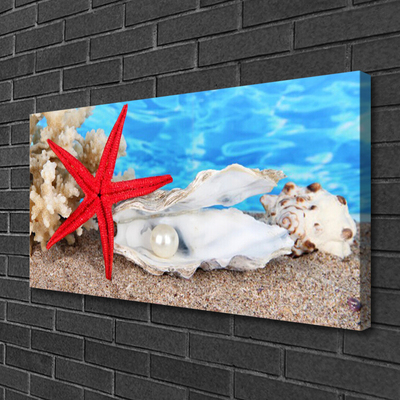 Vászonkép Starfish Shells Természet