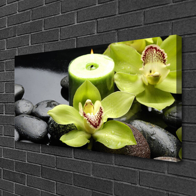 Canvas kép orchidea virágok