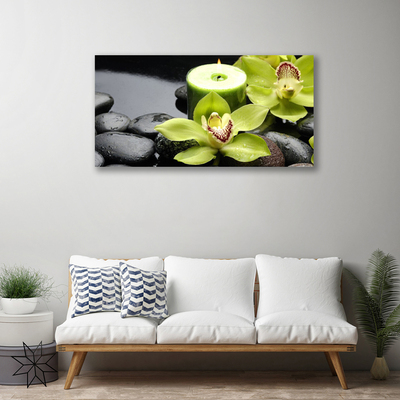 Canvas kép orchidea virágok
