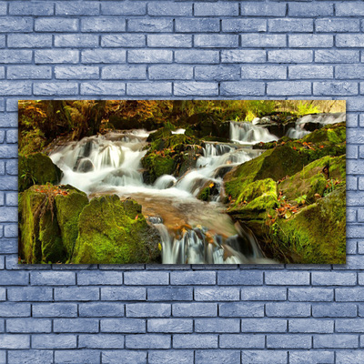Vászonkép Waterfall Rocks Nature