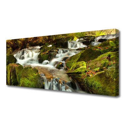 Vászonkép Waterfall Rocks Nature