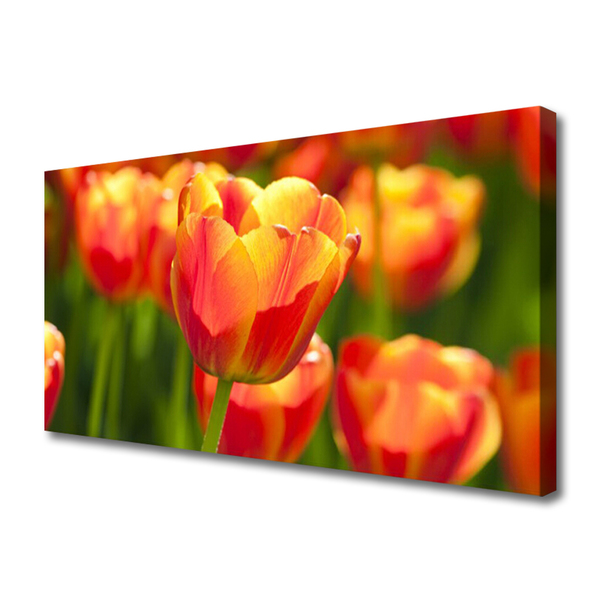 Canvas kép Tulipán virágok Plant