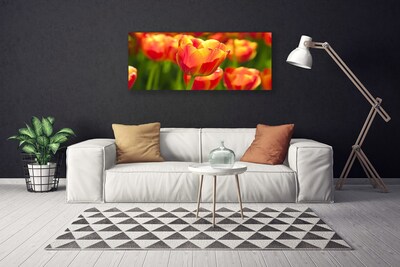 Canvas kép Tulipán virágok Plant