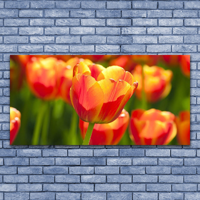 Canvas kép Tulipán virágok Plant