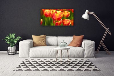 Canvas kép Tulipán virágok Plant