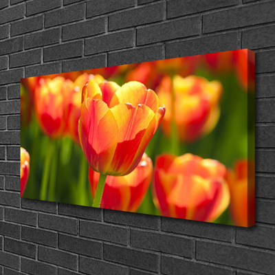 Canvas kép Tulipán virágok Plant