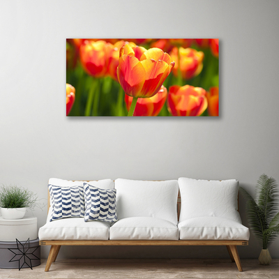 Canvas kép Tulipán virágok Plant