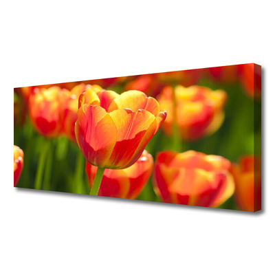 Canvas kép Tulipán virágok Plant