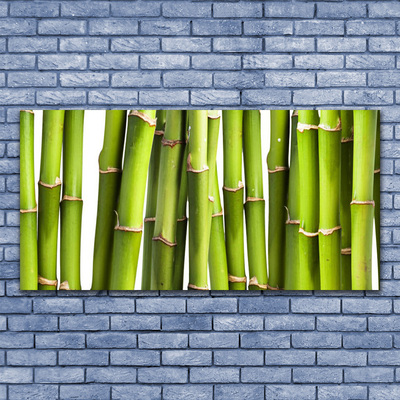 Vászonkép falra Bambusz növény természet