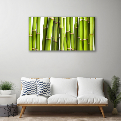 Vászonkép falra Bambusz növény természet