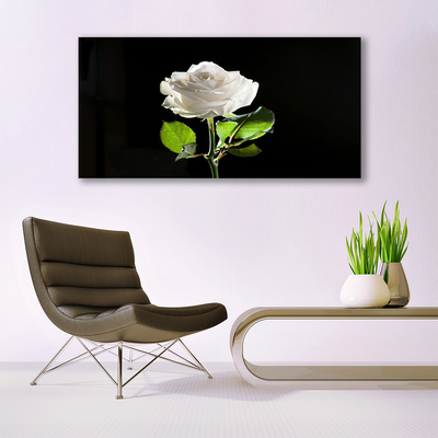 Vászonkép nyomtatás Rózsa Virág növény természet