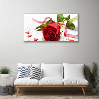 Canvas kép Rózsa Virág növény természet