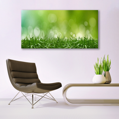 Vászonkép falra Grass Nature Plant
