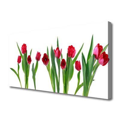 Vászonkép Tulipán virágok Plant