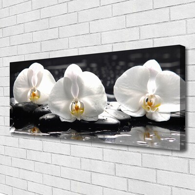Vászonkép falra Fehér orchidea virág