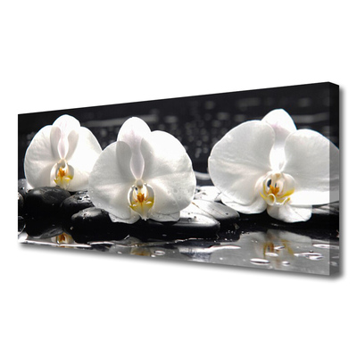 Vászonkép falra Fehér orchidea virág