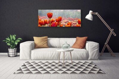 Vászonkép falra Tulipán virágok Plant