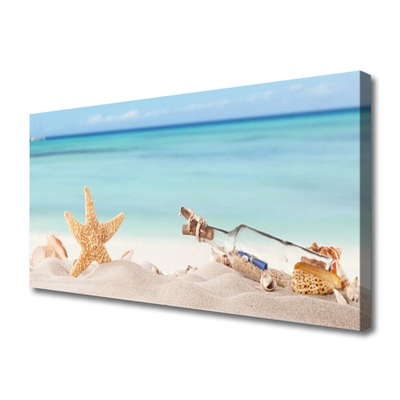 Vászonkép Starfish Shells Beach