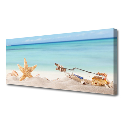 Vászonkép Starfish Shells Beach