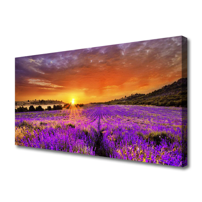 Vászonkép falra Sunset Lavender Field