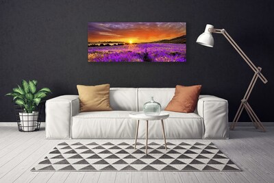 Vászonkép falra Sunset Lavender Field