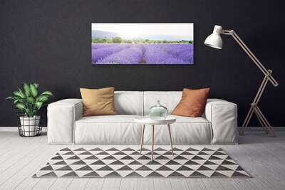 Vászonkép Lavender Field Mező Természet