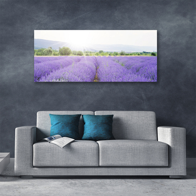 Vászonkép Lavender Field Mező Természet