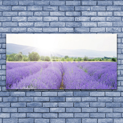 Vászonkép Lavender Field Mező Természet