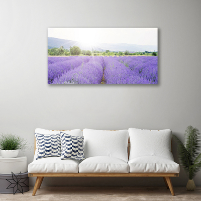 Vászonkép Lavender Field Mező Természet