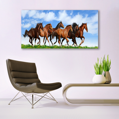 Canvas kép Vágtázó lovak legelő